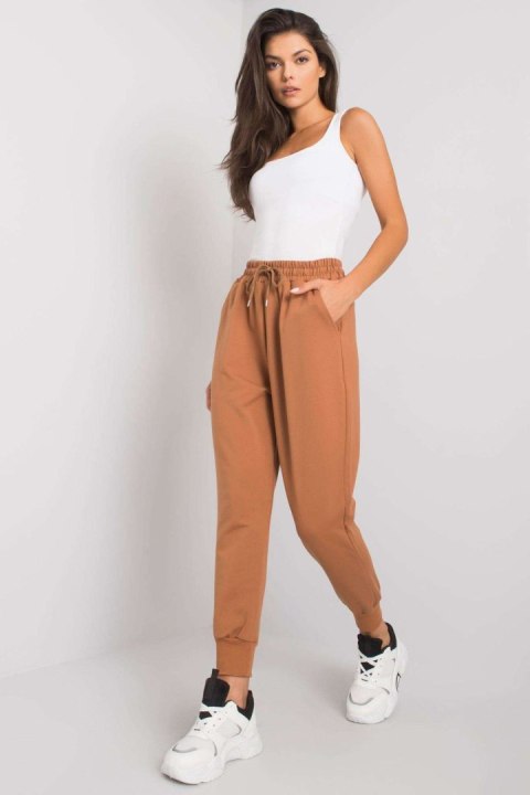 Spodnie Dresowe Model FA-DR-6388-1.91 Brown - Fancy Spodnie Dresowe Model FA-DR-6388-1.91 Brown - Fancy