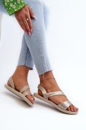 Sandały Model 82429 Ipanema Vibe Sandal Fem Beige - Step in style